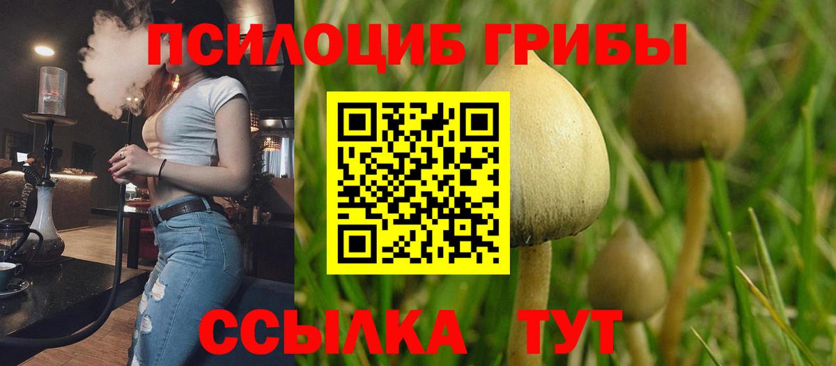 Кострома  Псилоцибиновые грибы ЛСД  Вход с VPN  Псилоцибиновые грибы Magic Shrooms 