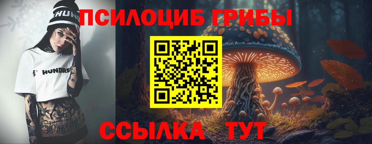 Псилоцибиновые грибы GOLDEN TEACHER Кострома